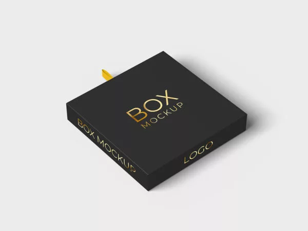 Branding packaging box mockup