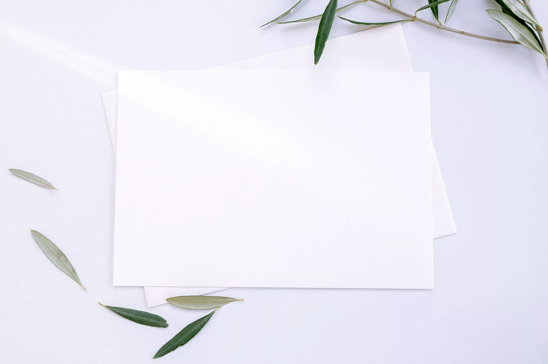 Stationery Paper Logo Mockup