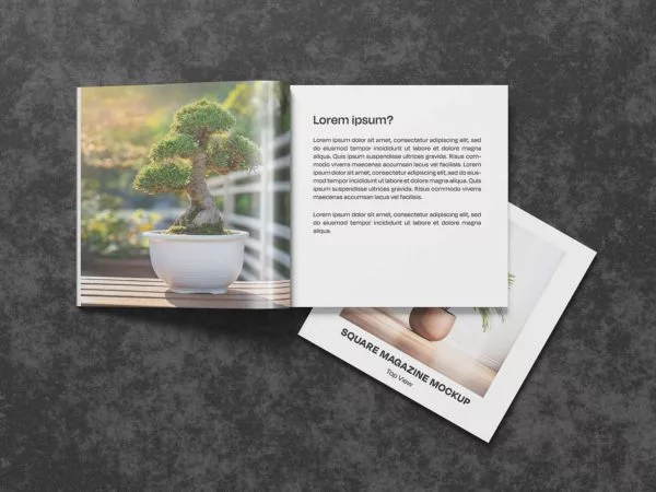 Top View Square Magazine Mockup