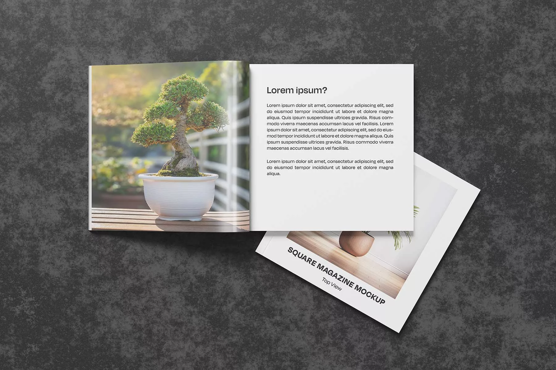 Top View Square Magazine Free Mockup
