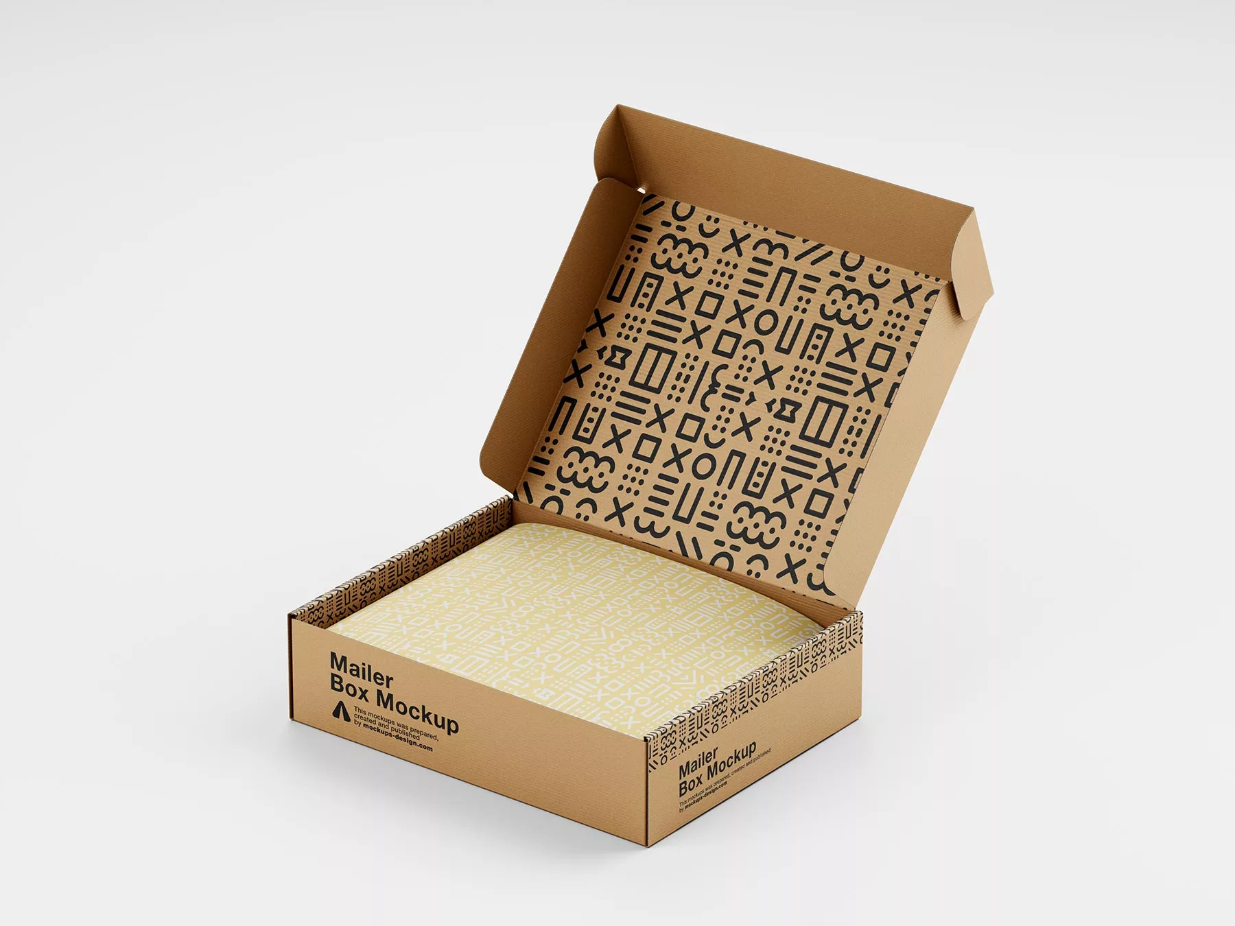 Mailer Box Mockup Set