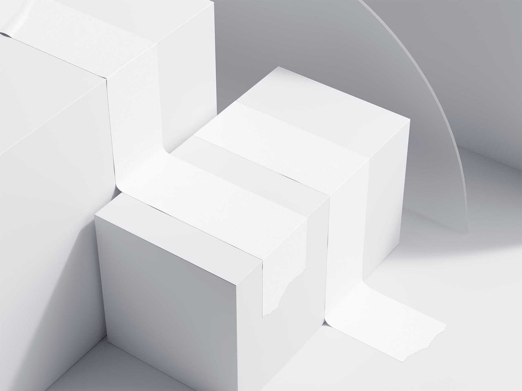 Duct Tapes Mockup