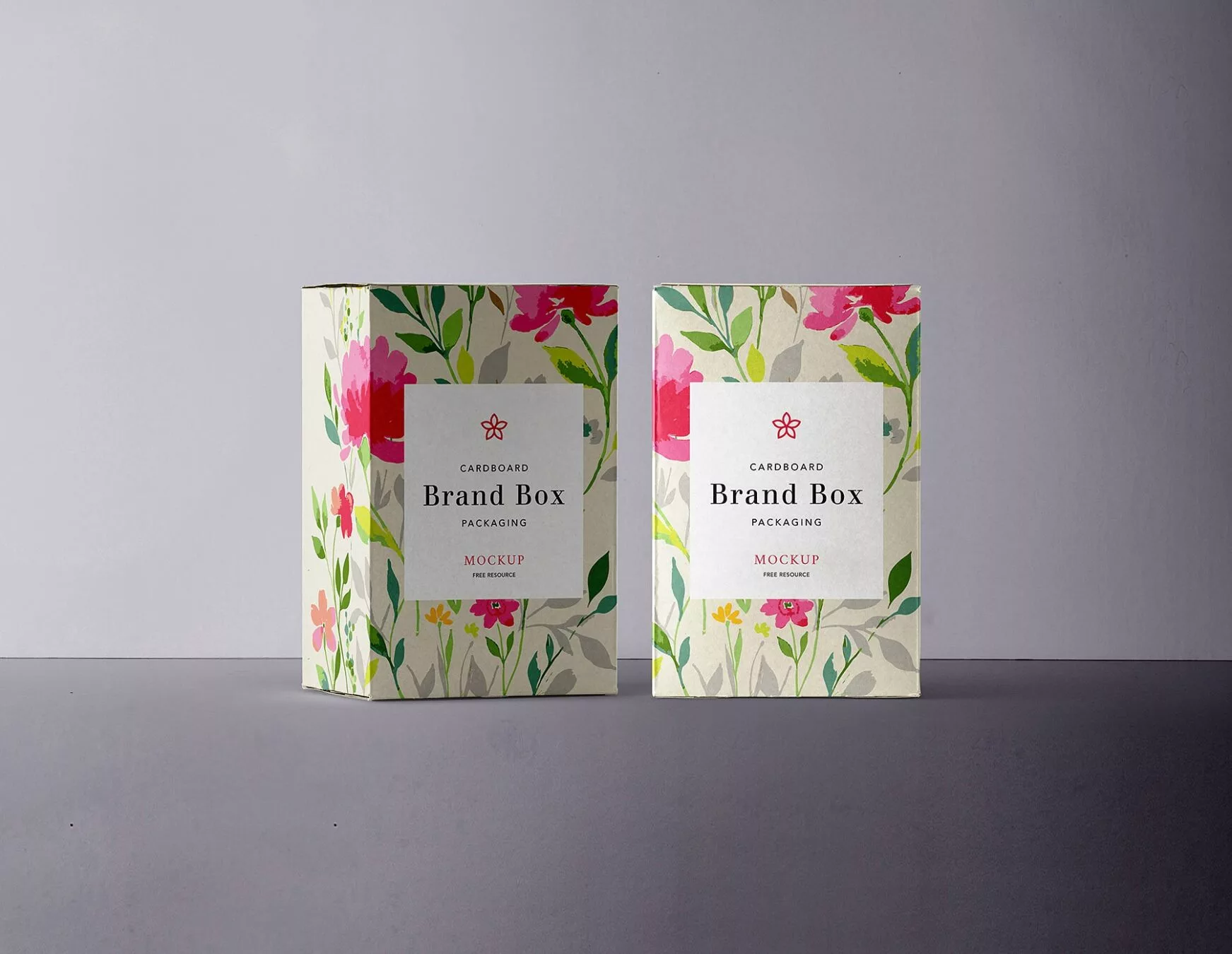 Free Cardboard Product Box Mockup