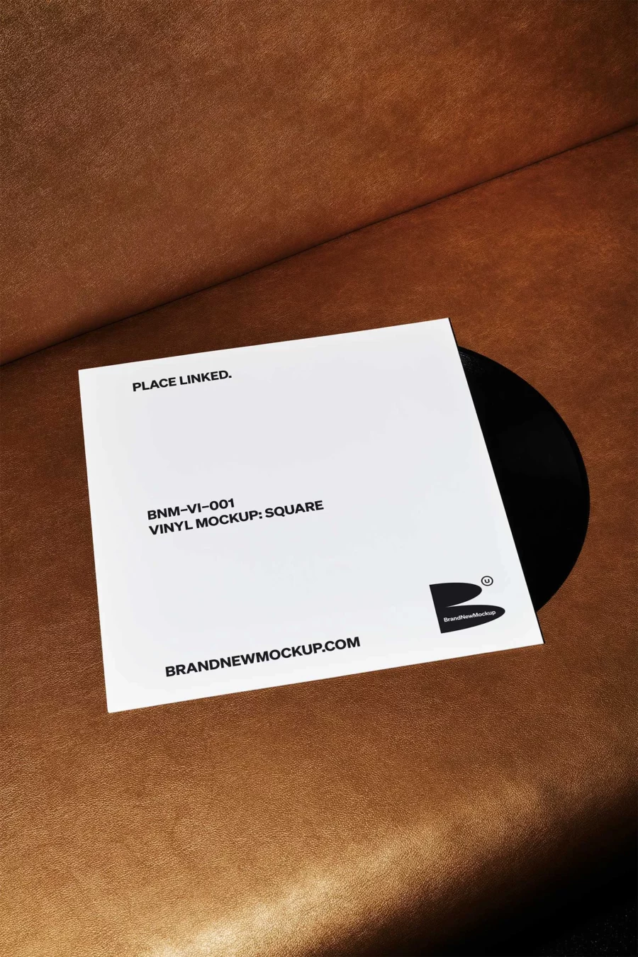 Free Vinyl Mockups