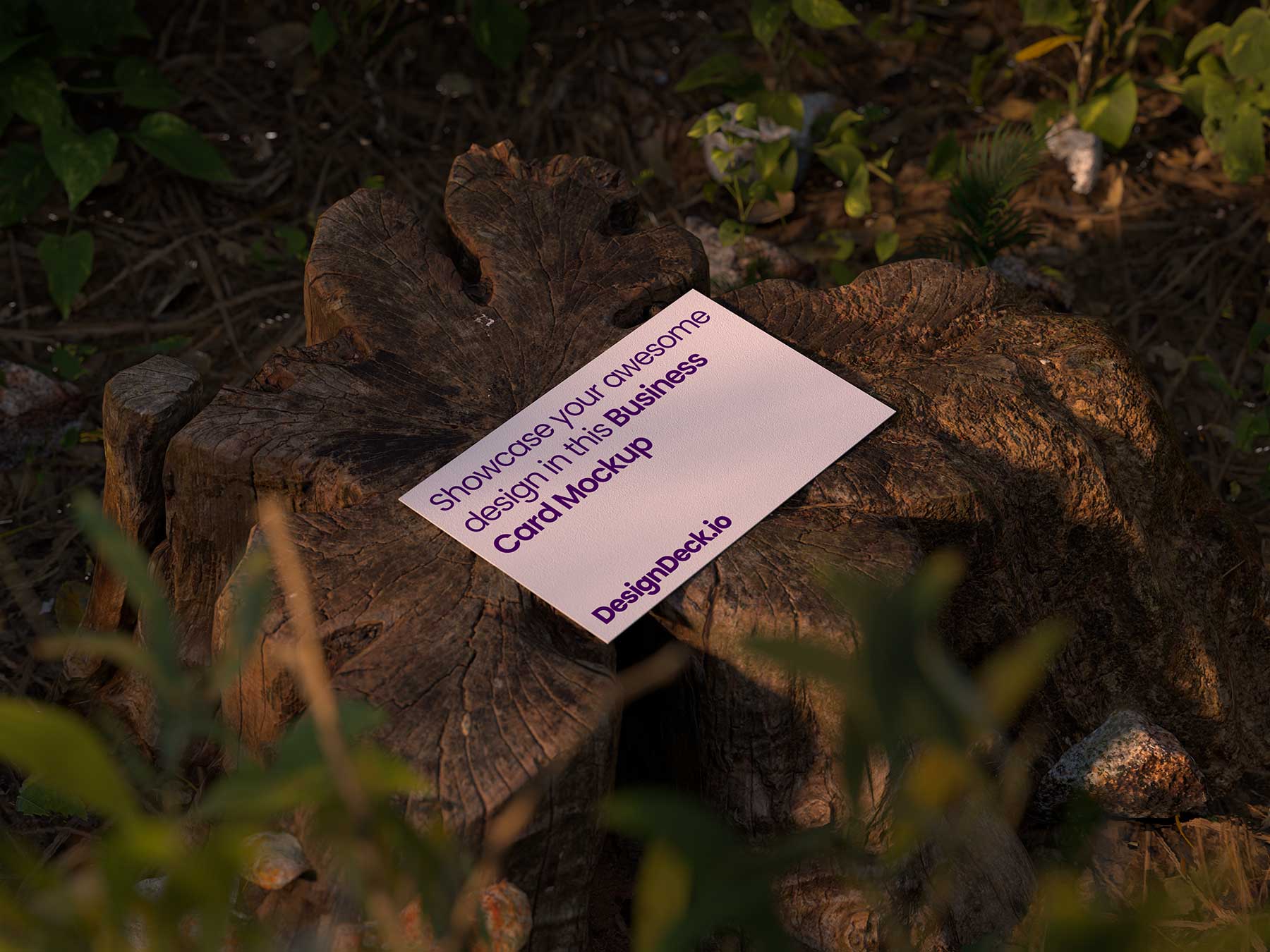 Business Card Mockup (Forest Scene)