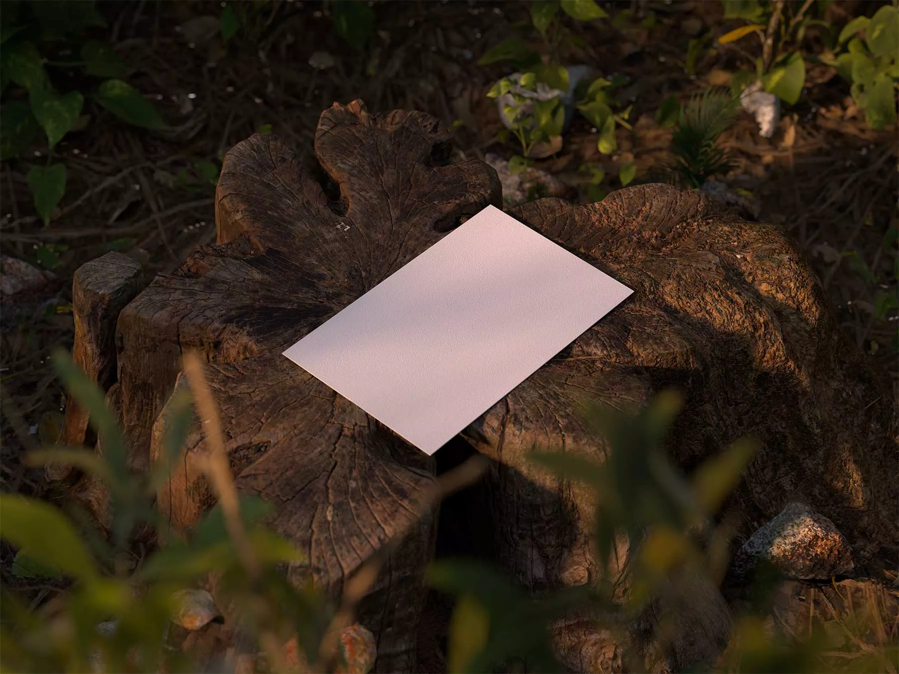 Business Card Mockup (Forest Scene)