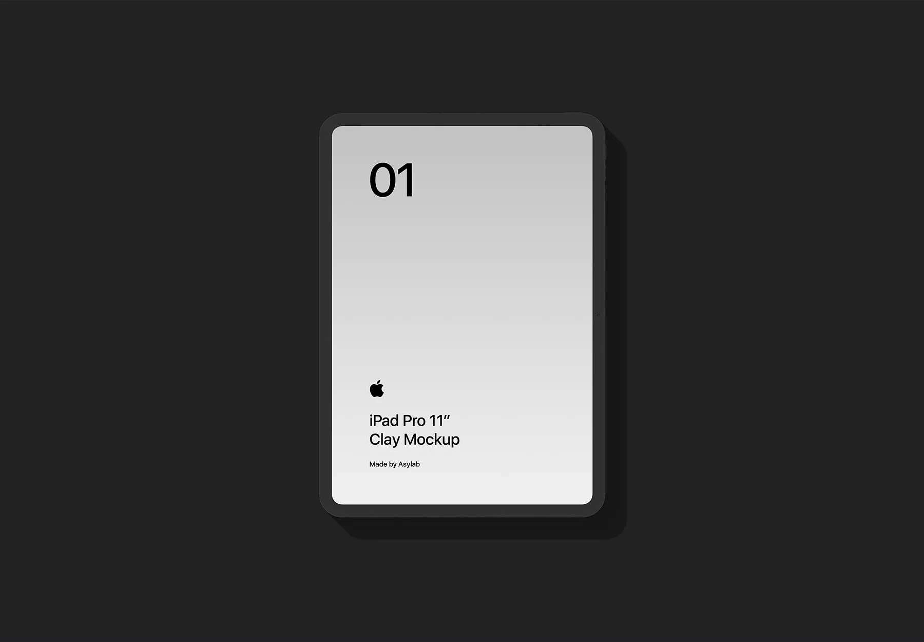 iPad Pro Mockup Set (Original & Clay)