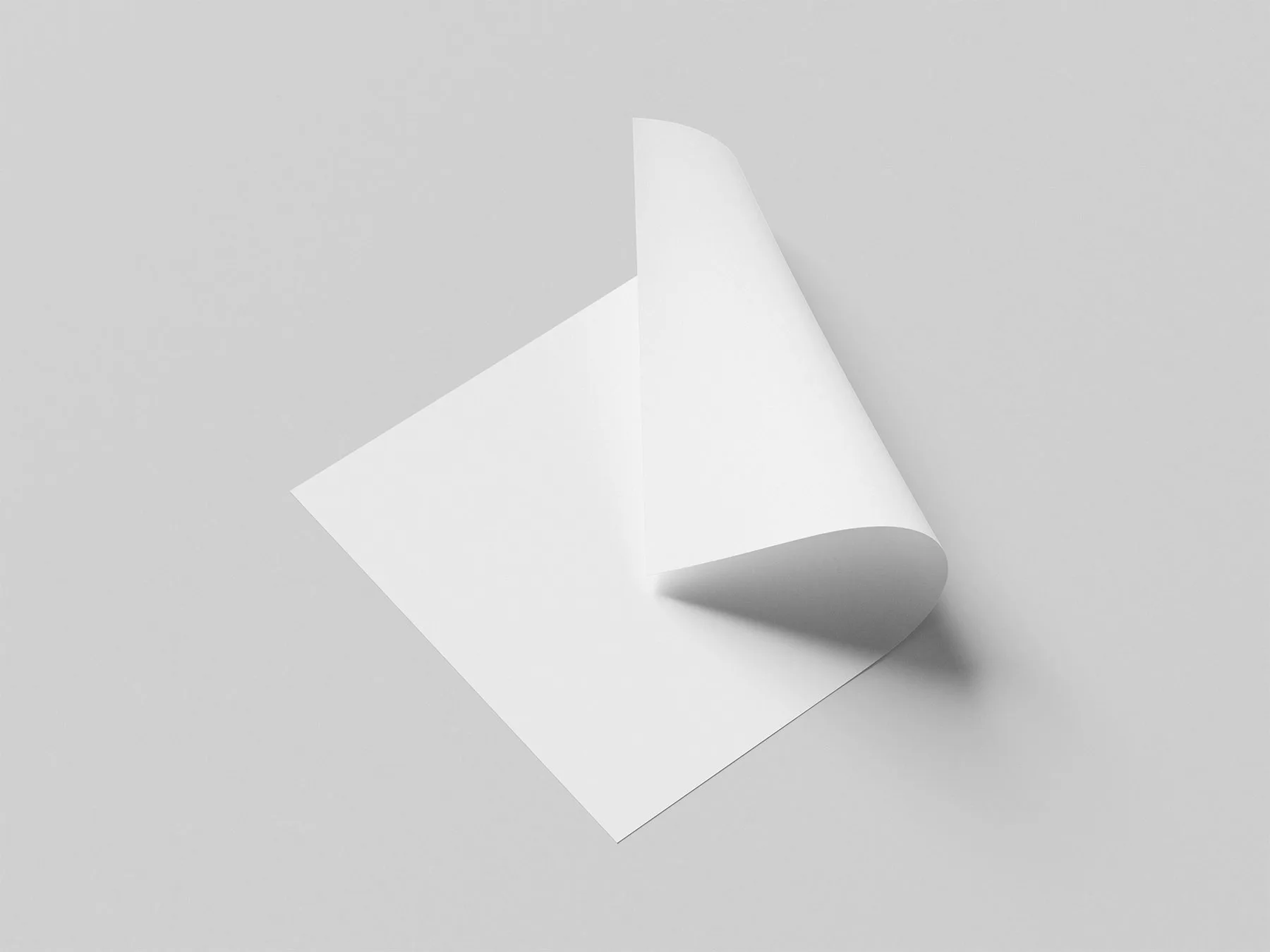 Minimalist Poster Mockup Set