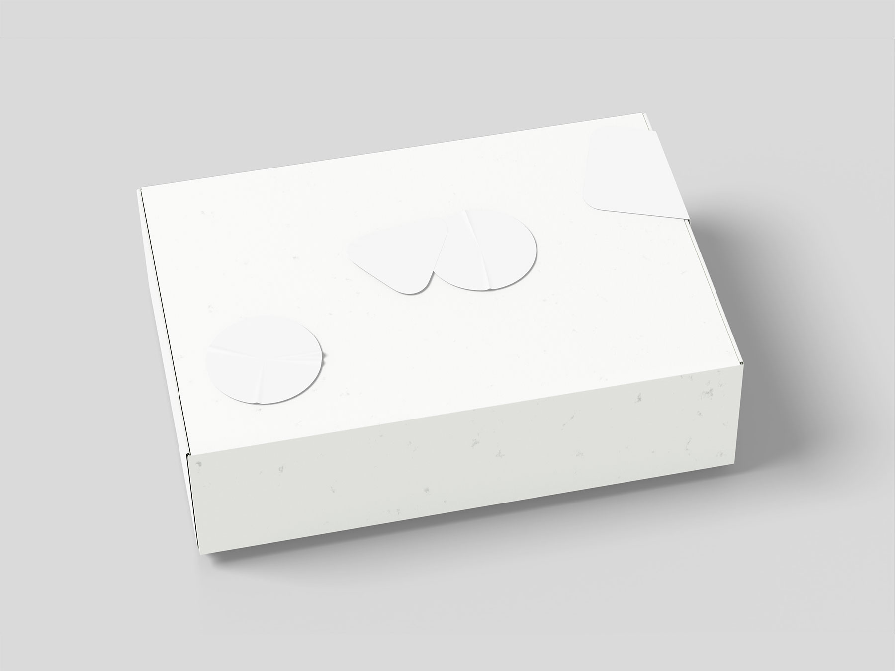 Pinch Lock Mailer Box Mockup with Stickers