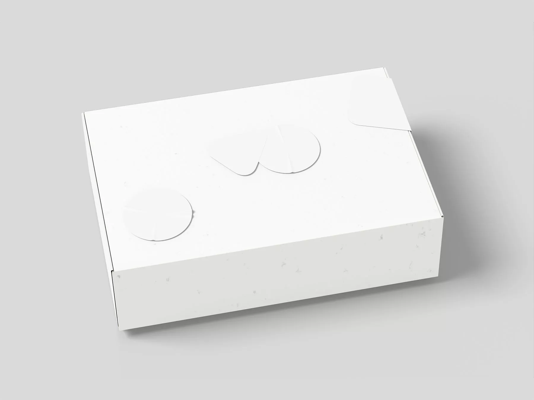 Pinch Lock Mailer Box Mockup with Stickers