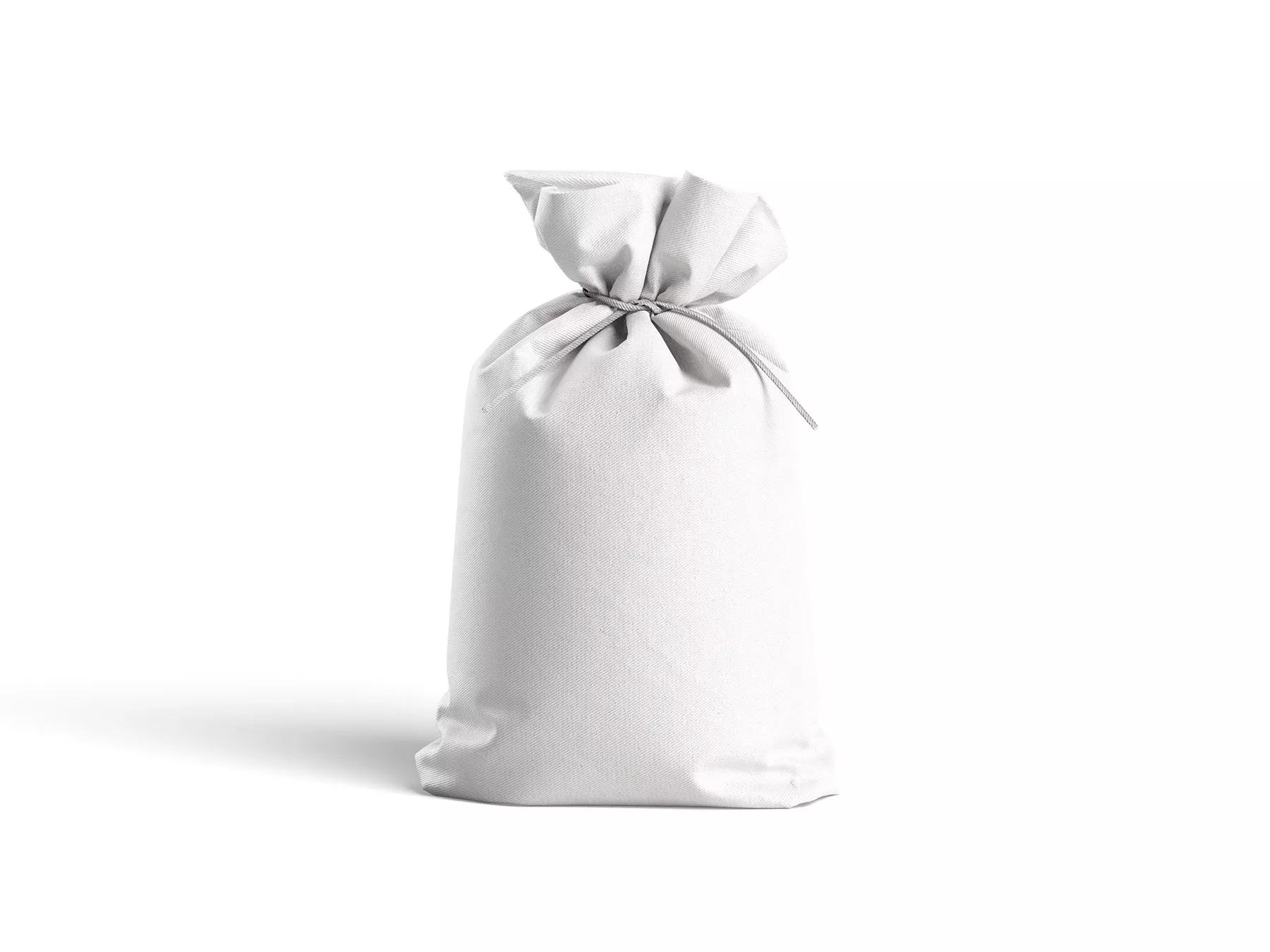 Small Canvas Bag/Pouch Mockup Set