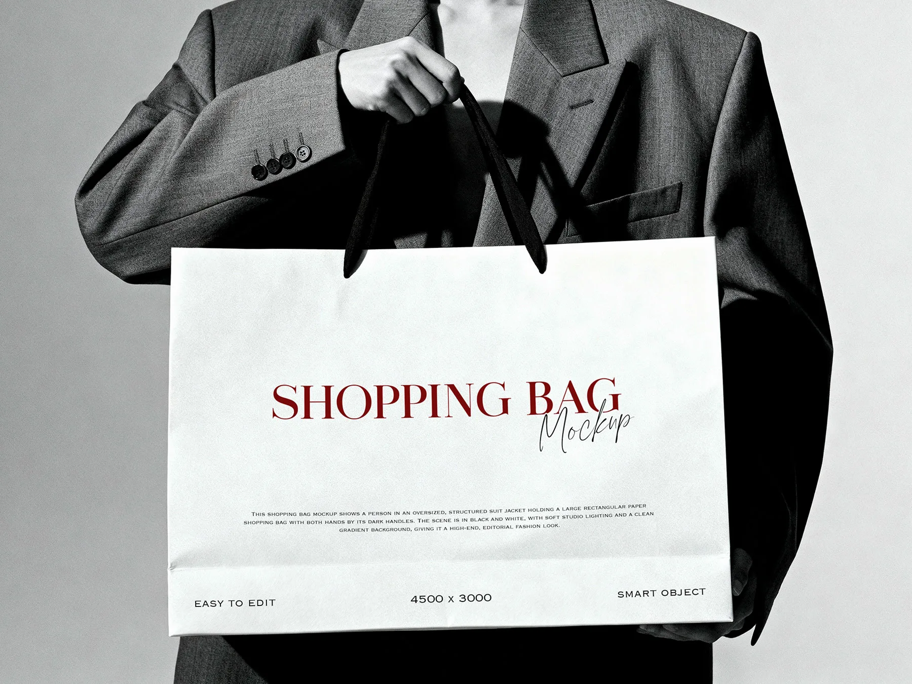 Woman Holding Shopping Bag Mockup