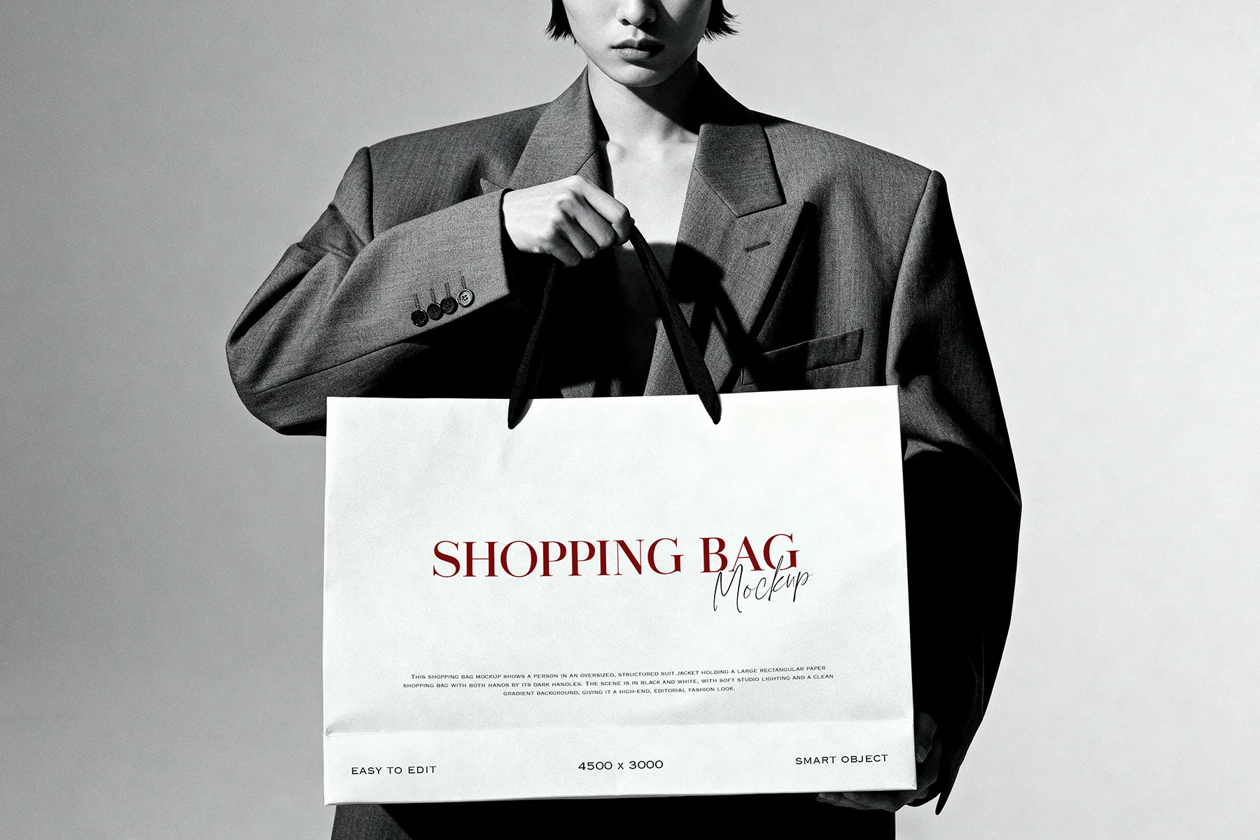 Woman Holding Shopping Bag Mockup
