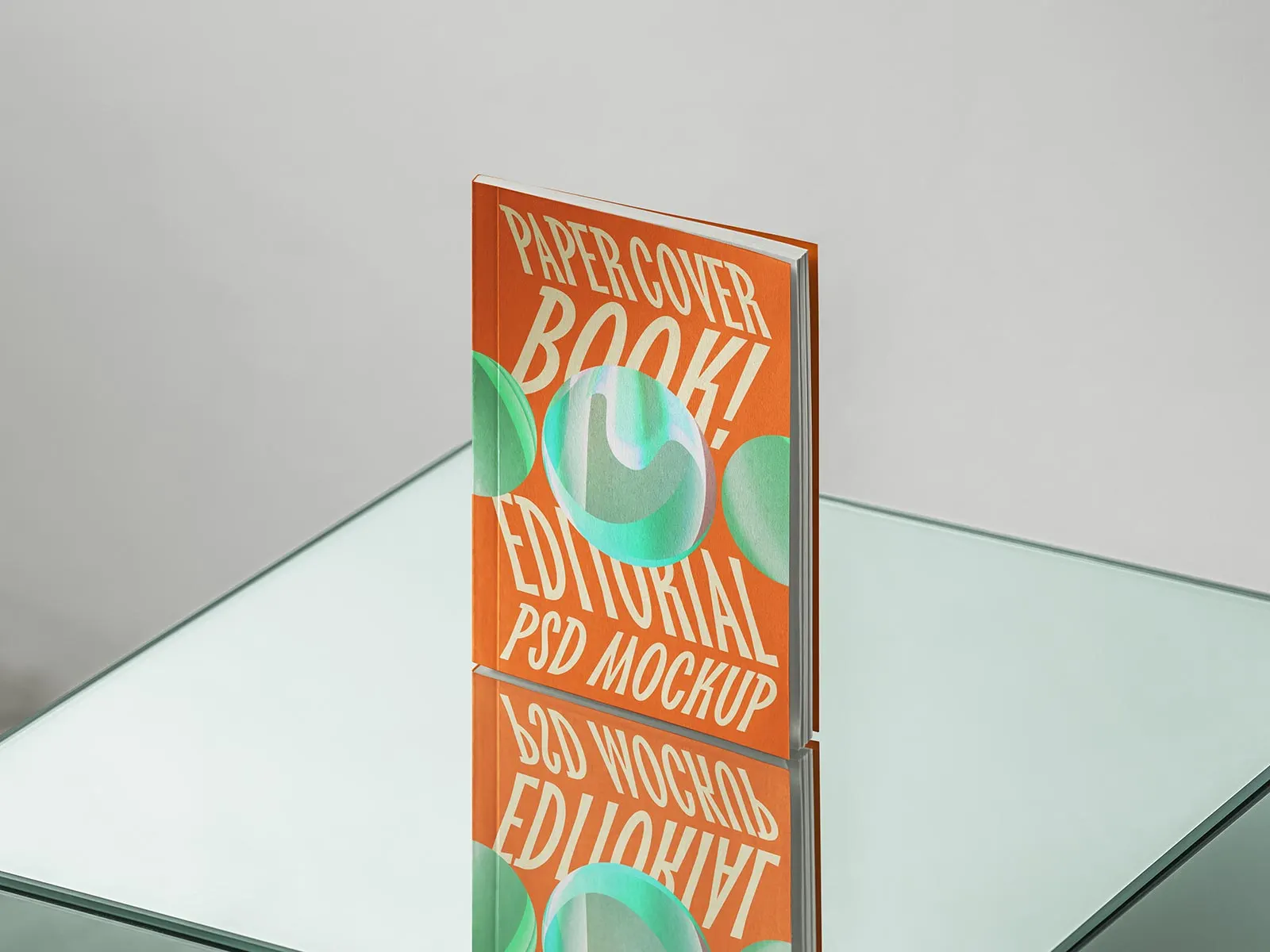 Paperback Book Mockup (PSD)