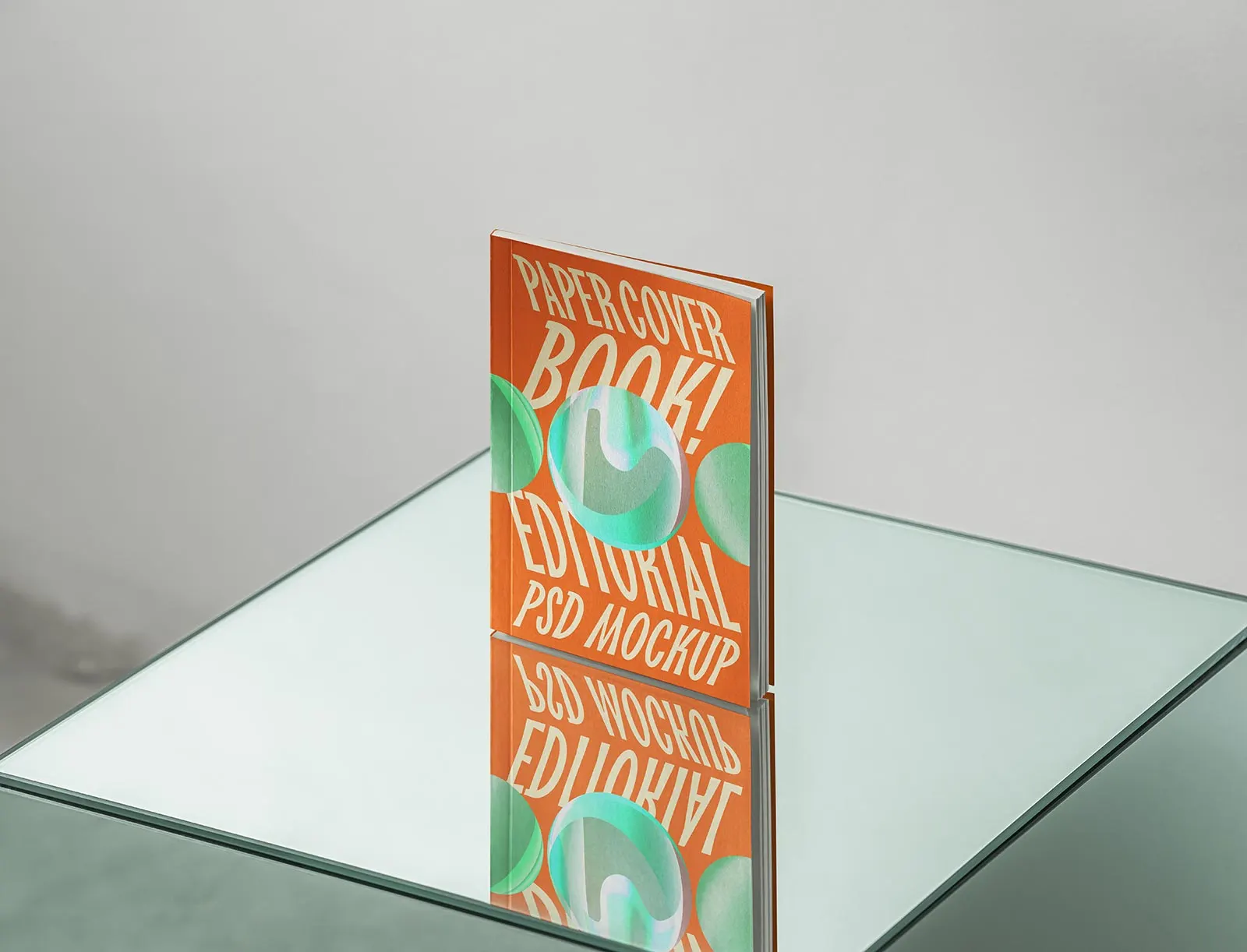 Paperback Book Mockup (PSD)