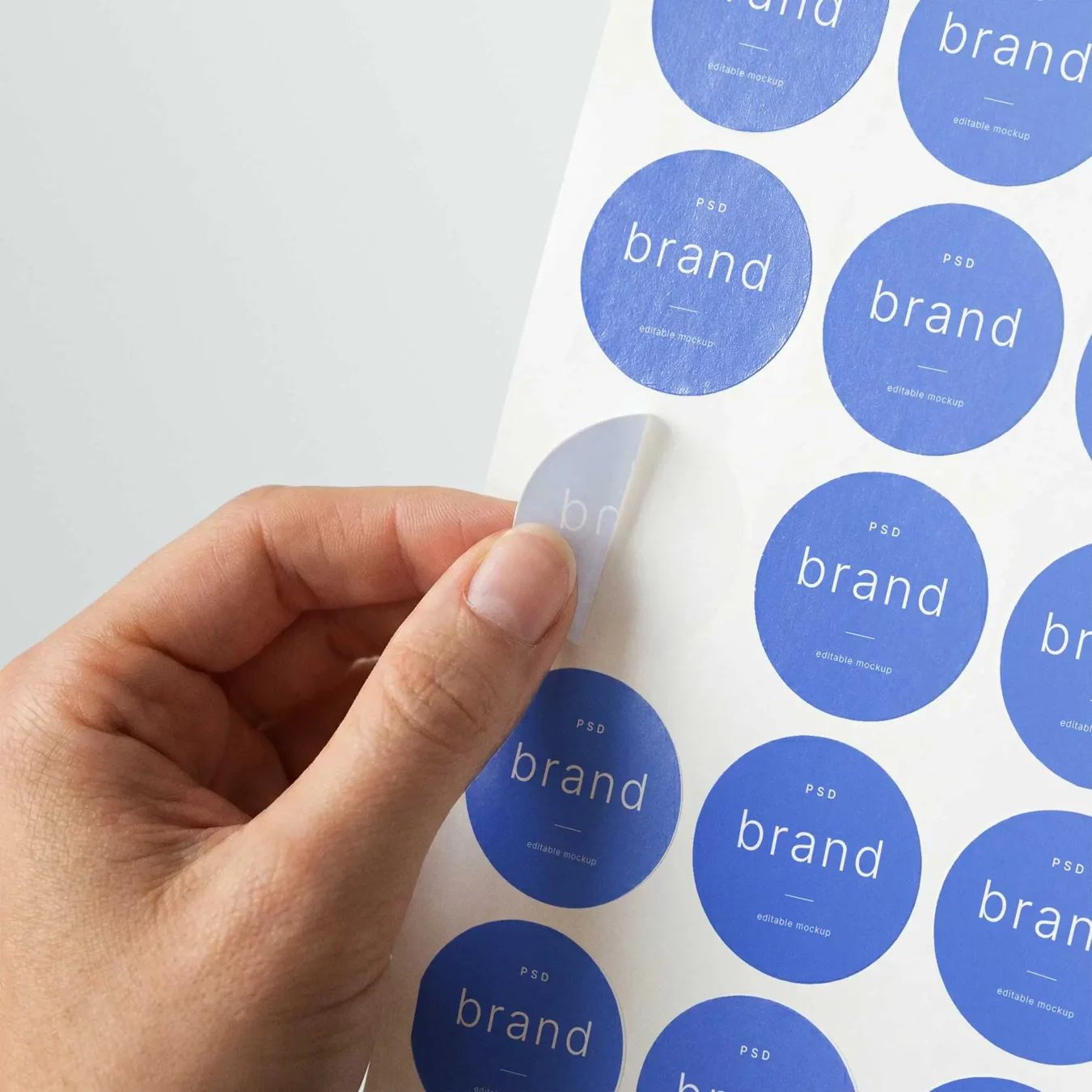 Round Sticker Sheet Mockup in Hand