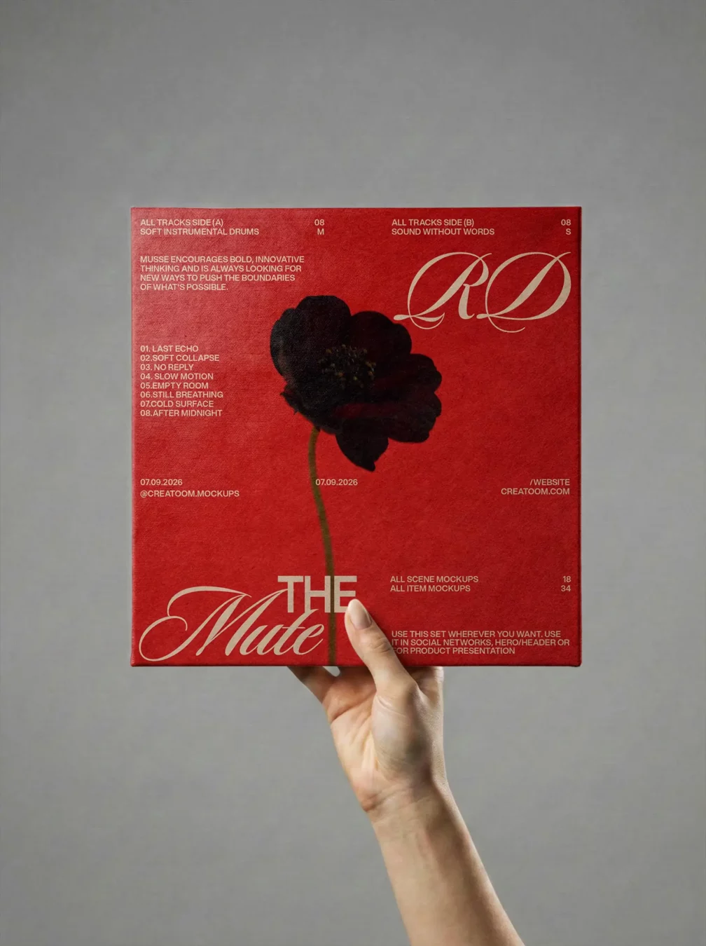 Vinyl Record Cover Mockup in Hand