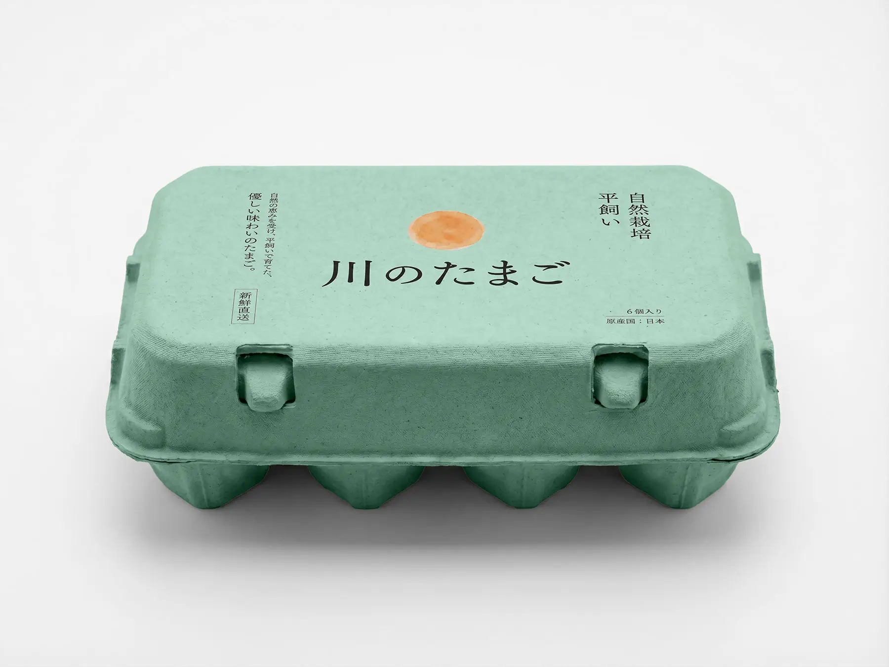 Egg Carton Packaging Mockup (8 Eggs)