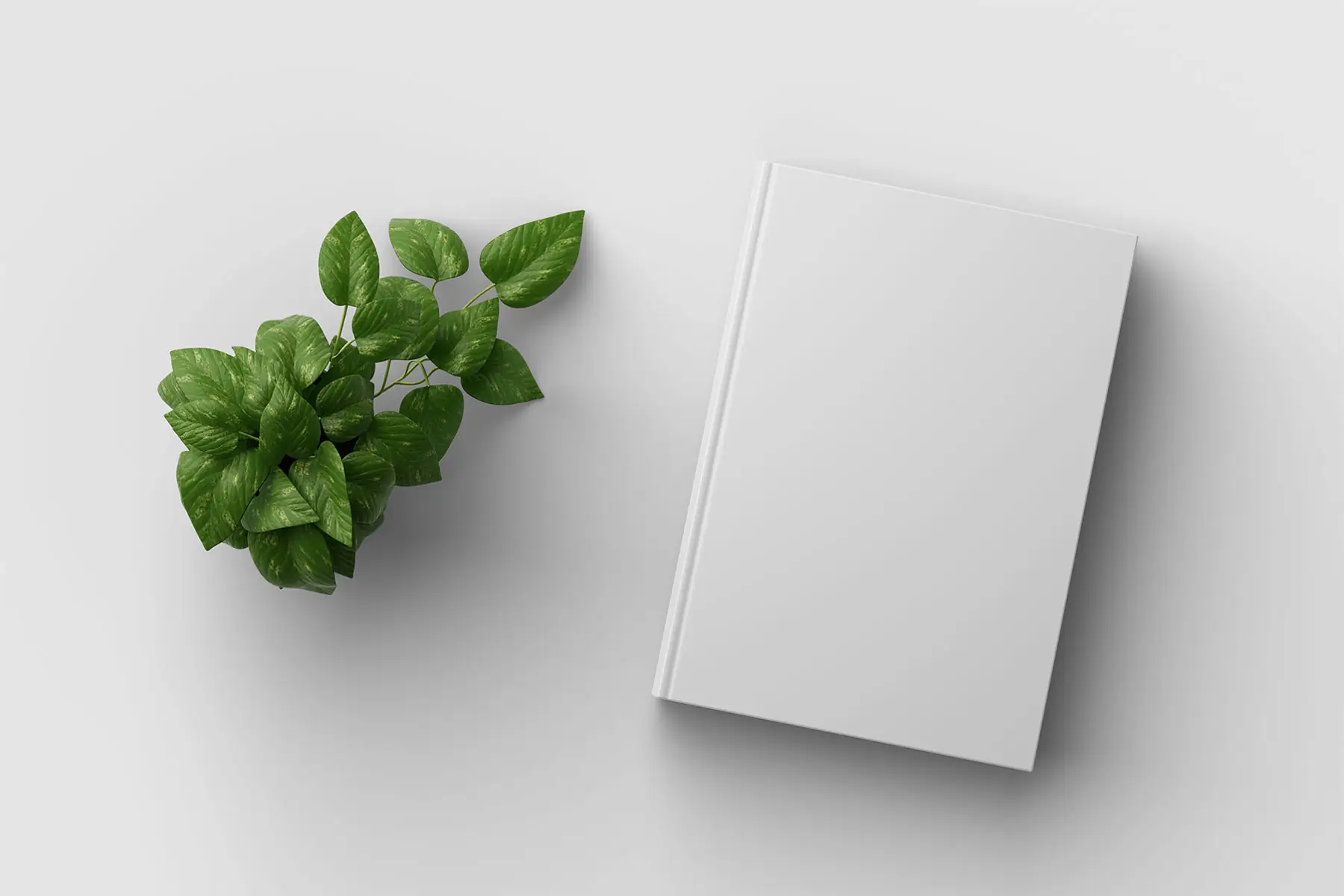 Minimalist Book Cover Mockup