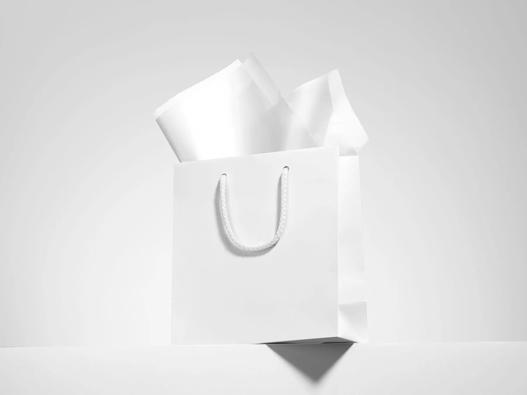 Realistic Shopping Bag Free Mockup