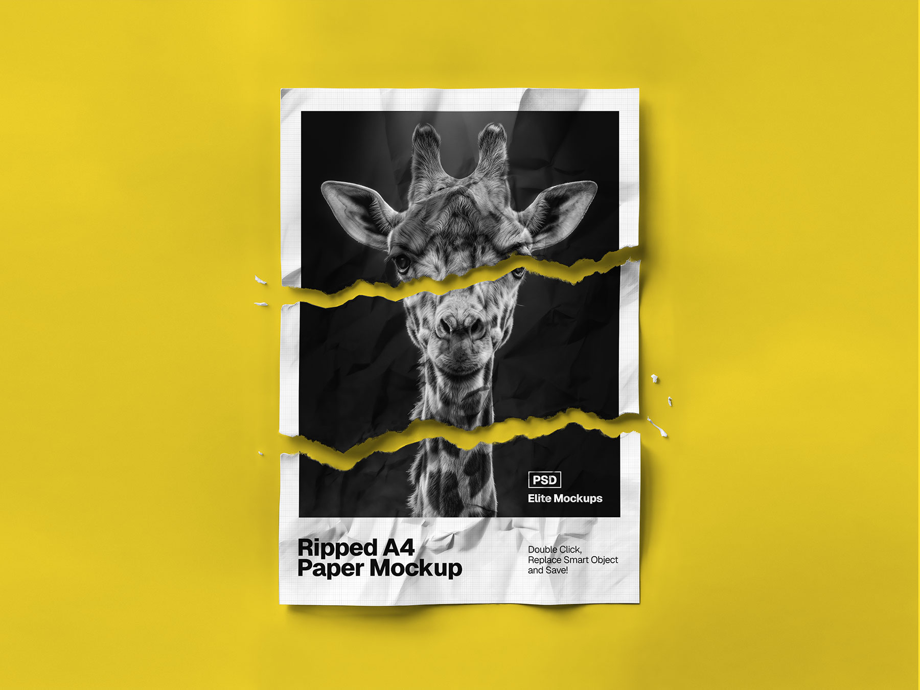 Ripped A4 Paper Poster Mockup (Free Download)