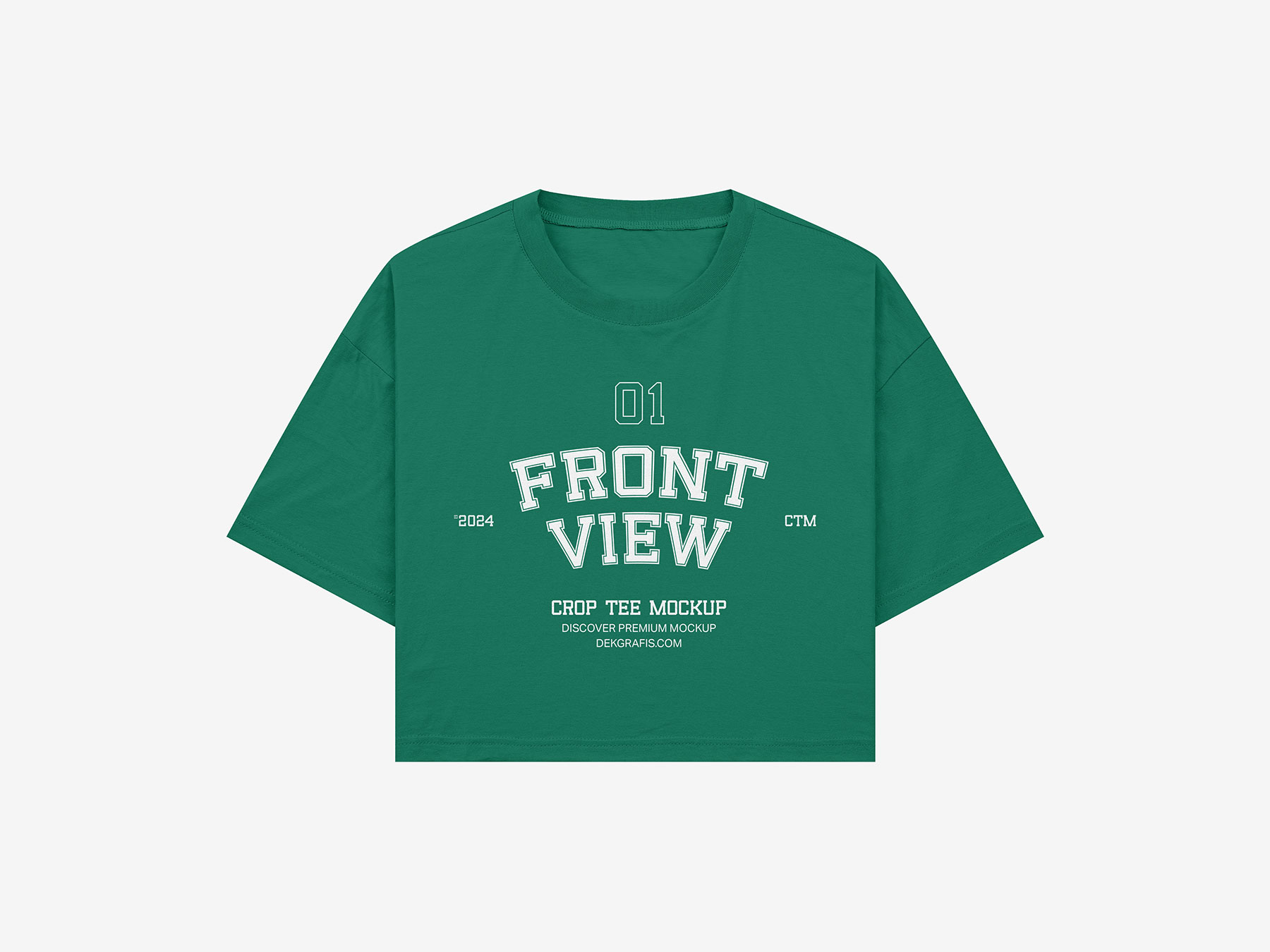 Free Oversized Crop Top T-Shirt Mockup