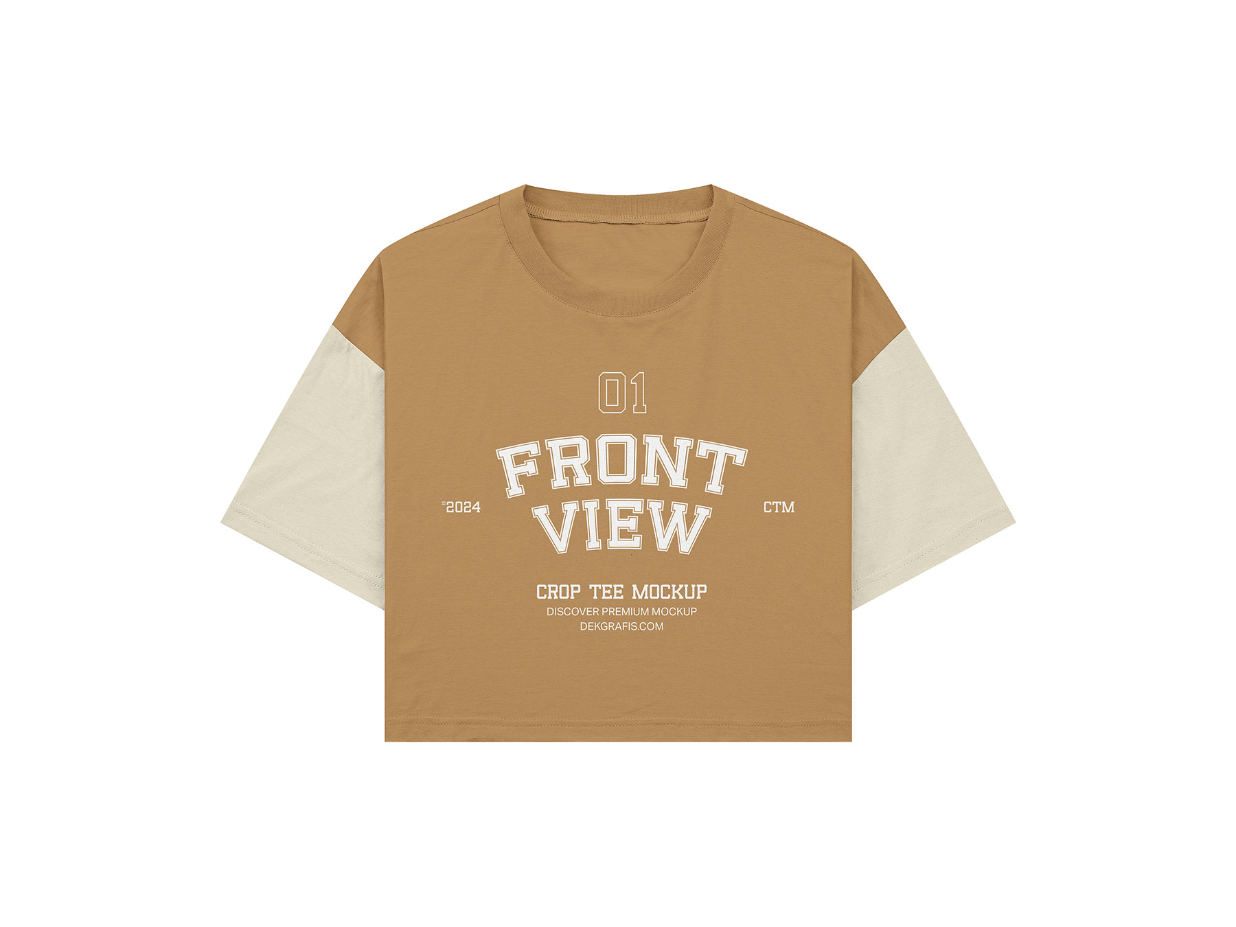 Free Oversized Crop Top T-Shirt Mockup