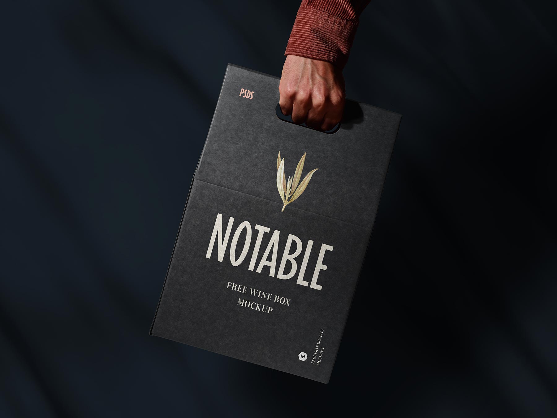 Hand Holding Free Wine Box Packaging Mockup