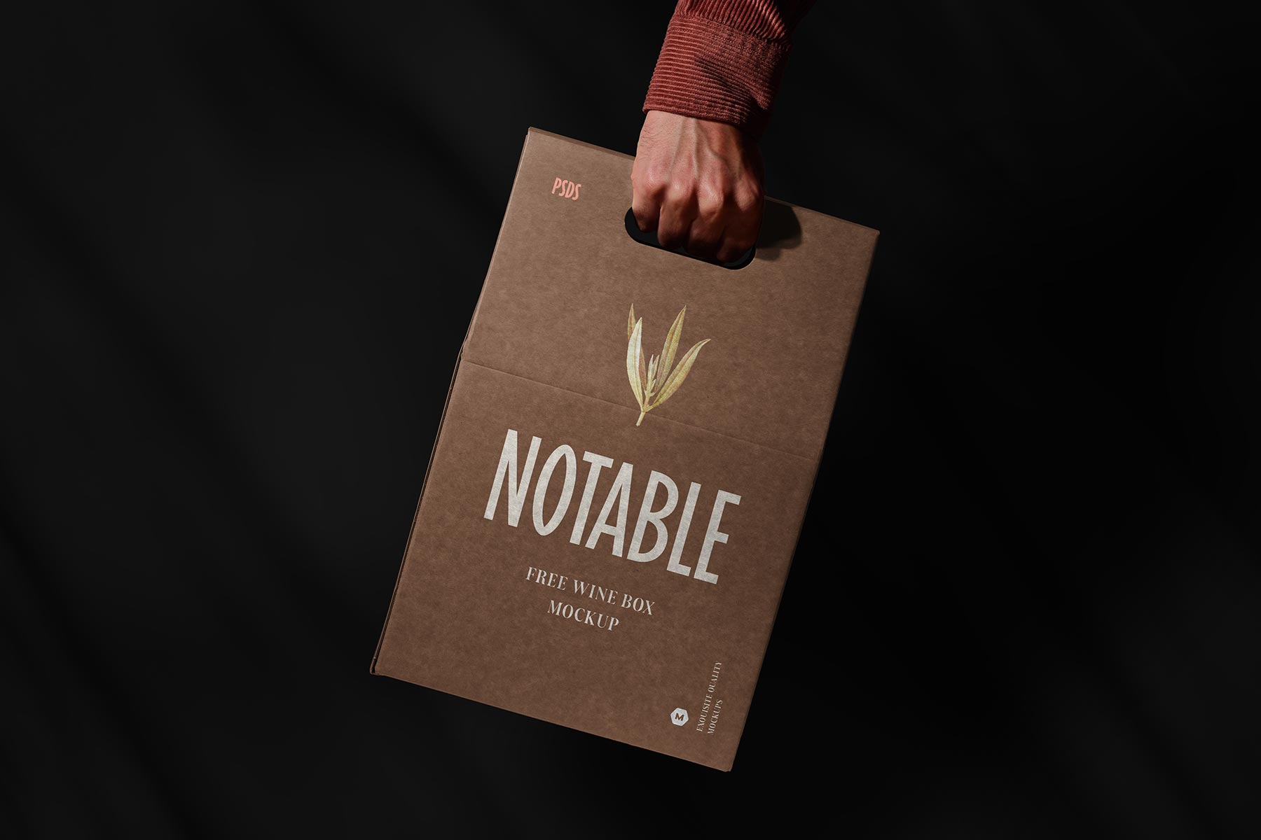 Hand Holding Free Wine Box Packaging Mockup