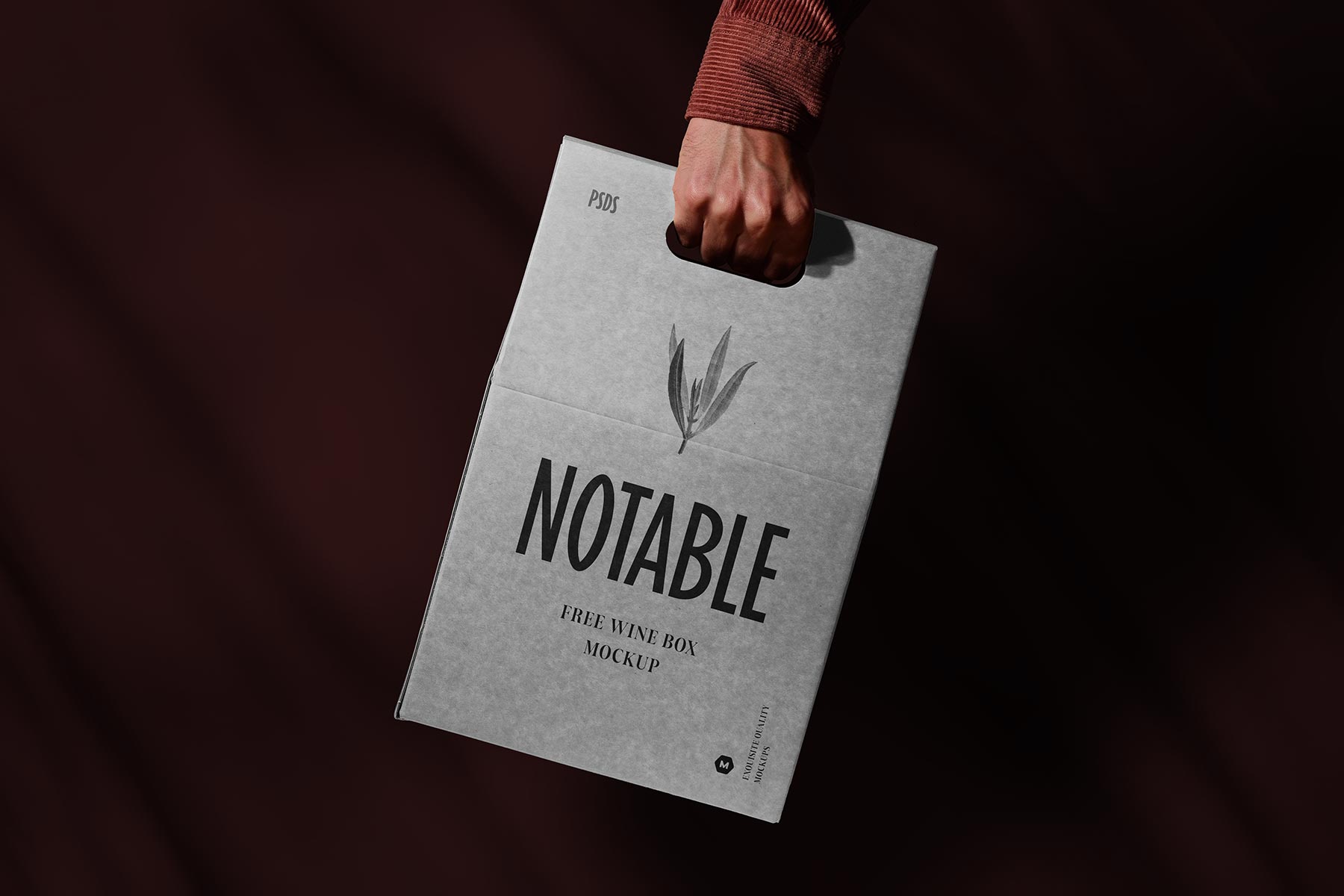 Hand Holding Free Wine Box Packaging Mockup