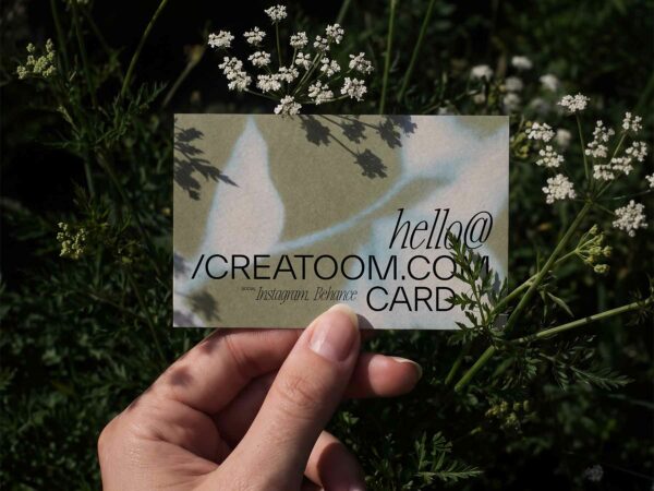 Free Business Card Mockup – Organic Branding Display