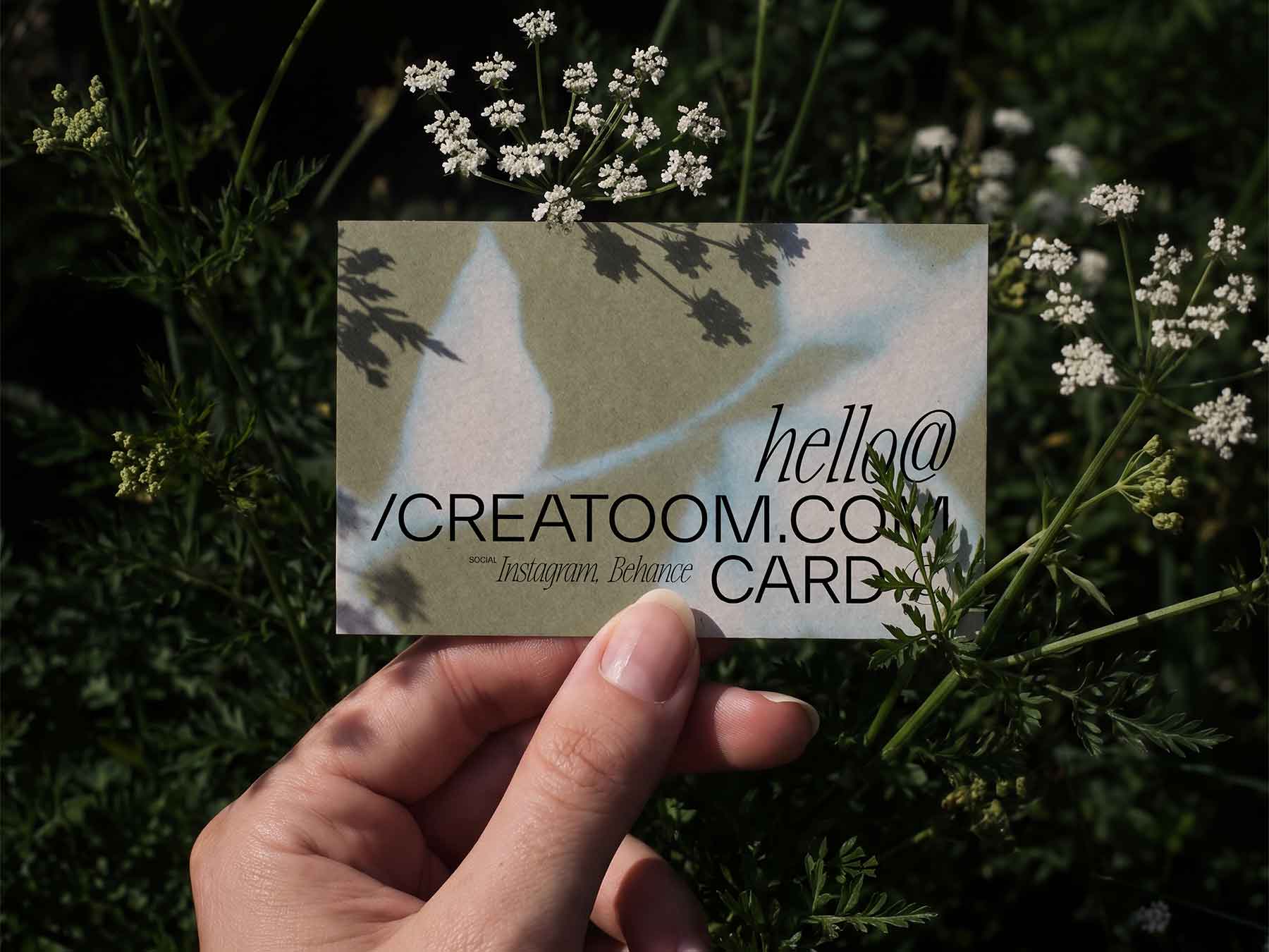 Free Business Card Mockup – Organic Branding Display