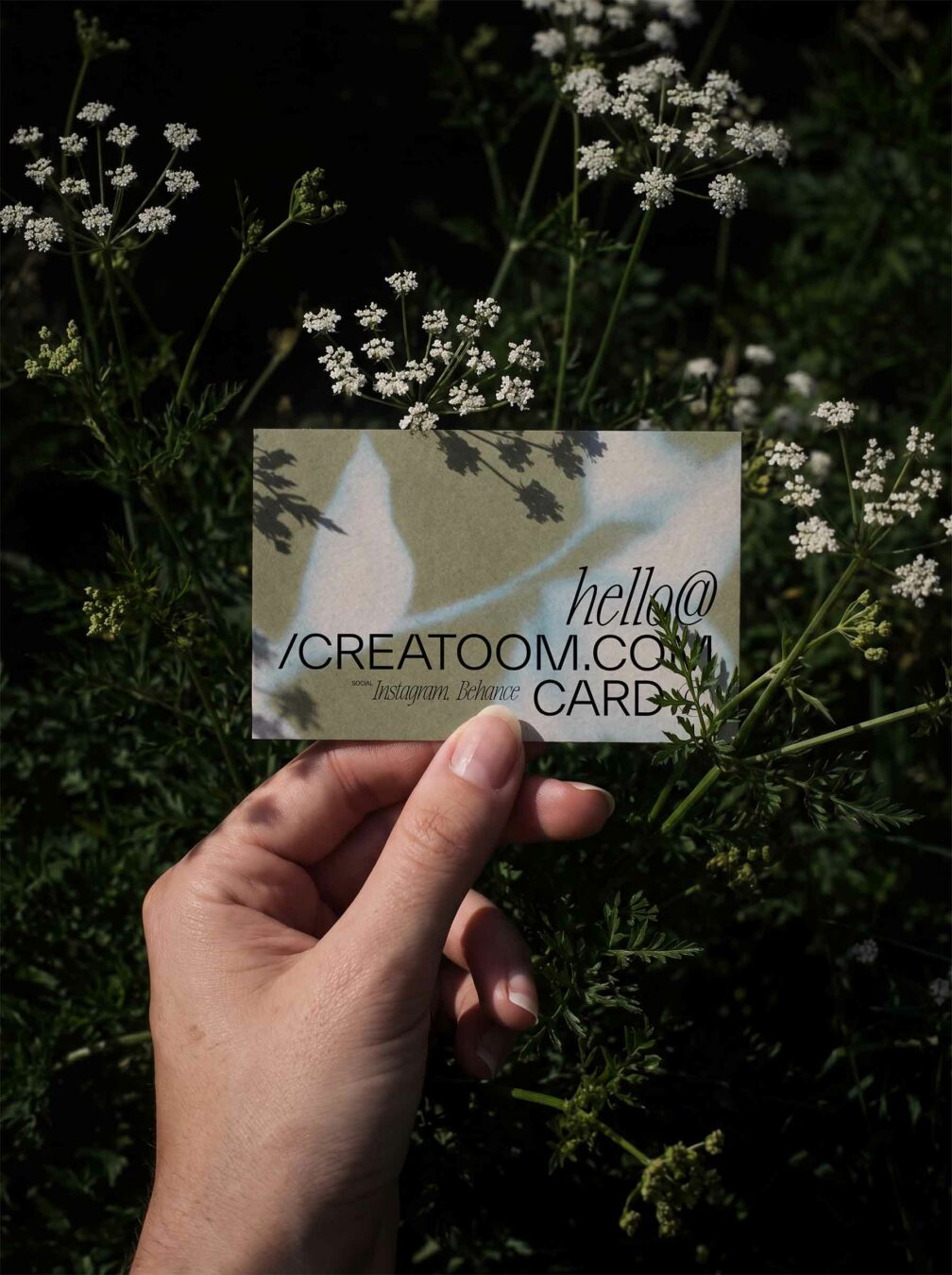 Free Business Card Mockup – Organic Branding Display